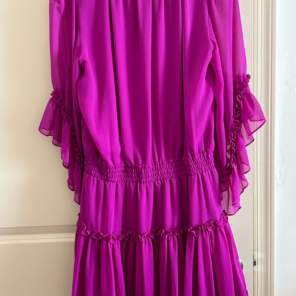 Pink Ruffle Dress - Picture 7 of 7